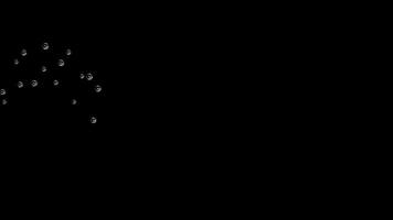Floating Transparent Bubbles Moving to the Right on a Black Background video