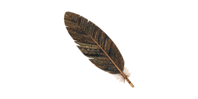 Ornate Gold Feather With Intricate Patterns. Symbol Of Elegance And Creativity Isolated On Transparent Background png