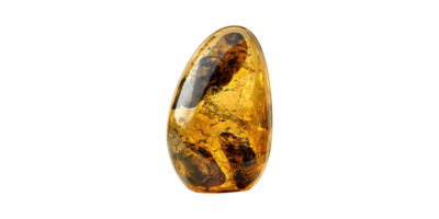 Amber Fossil With Inclusions. Natural Resin Preserving Ancient Organic Material Isolated On Transparent Background png