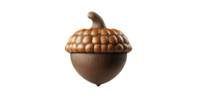 Realistic Acorn. Symbol Of Growth, Potential, And Nature'S Cycle Isolated On Transparent Background png