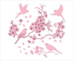 Birds resting on a branch of Sakura, with a background that is both editable and has a transparent color foundation. vector