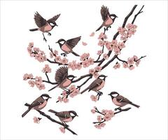 A branch of Sakura with birds perched on it, set against a customizable and transparent colored background. vector
