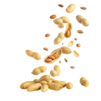 Peanuts falling in various stages, showcasing their texture and color, creating dynamic and appetizing visual png