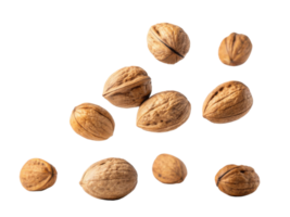 Nuts are scattered on transparency background, showcasing their textured shells and natural colors, evoking sense of organic beauty and health png