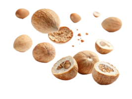 Floating nuts with cracked shells and scattered pieces create dynamic and natural scene, showcasing their texture and color png