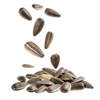 Sunflower seeds falling from above onto pile, showcasing their unique shapes and striped patterns, creating dynamic and appetizing scene png