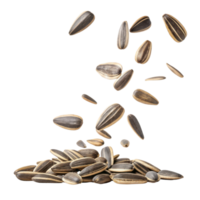 Sunflower seeds scattered in mid air, showcasing their unique shapes and textures, evoke sense of natural beauty and simplicity png