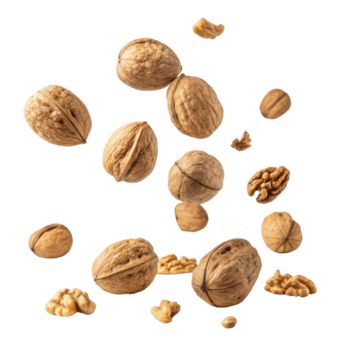 collection of walnuts in various positions, showcasing their natural texture and color, creating dynamic and appetizing visual png