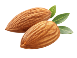 Almonds with green leaves, showcasing their natural texture and color, evoke sense of health and nutrition png