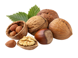 variety of nuts including walnuts, hazelnuts, and almonds, arranged with green leaves, showcasing their natural textures and colors png
