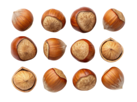 Fresh hazelnuts arranged neatly, showcasing their smooth, brown shells and textured surfaces, evoke sense of natural abundance and health png