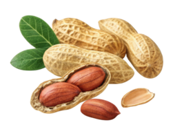 Peanuts in their shells with some opened to reveal nuts inside, accompanied by green leaves, create natural and wholesome feel png
