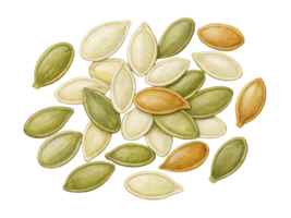 Pumpkin seeds in various colors and shapes scattered on transparency background create vibrant and natural display png
