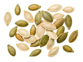 variety of pumpkin seeds scattered on transparency background, showcasing their unique shapes and colors, perfect for healthy snacking or cooking png