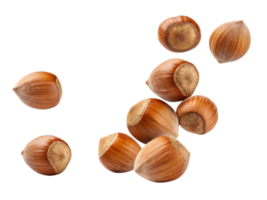 Fresh hazelnuts scattered on transparency background, showcasing their smooth, brown shells and unique shape, perfect for culinary uses png