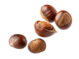 collection of shiny, brown chestnuts with smooth shells, showcasing their natural beauty and texture. Perfect for autumn themes png