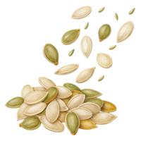 collection of pumpkin seeds various colors, some scattered, showcasing their natural texture and shape. image evokes sense of health and nutrition png