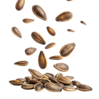 Falling seeds create dynamic and natural scene, showcasing their unique shapes and textures png