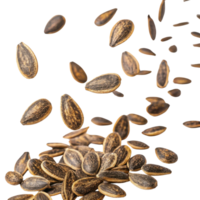 Falling seeds in various positions create dynamic and natural scene, showcasing their texture and color png
