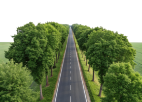 scenic view of straight road lined with lush green trees on both sides, creating peaceful atmosphere png