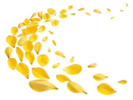 Bright yellow tulip petals gracefully swirl in beautiful display, creating vibrant and cheerful atmosphere that captures essence of spring png