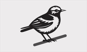 Bird on a tree branch vector