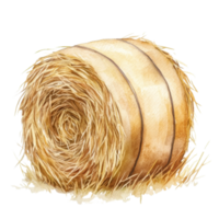 A watercolor hay bale roll on transparent background. png