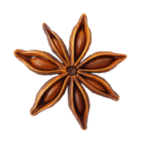 Anise star on black base on transparent background png