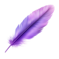 Elegant Purple Feather High-Resolution Design Element on transparent background png