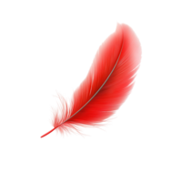 Vibrant Red Feather Isolated, Detailed, High-Resolution Image png