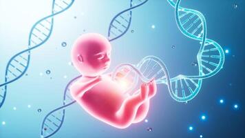 Human embryo model and DNA , 3d rendering. video