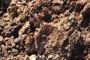 Rugged Lava Rock Up Close and Personal photo