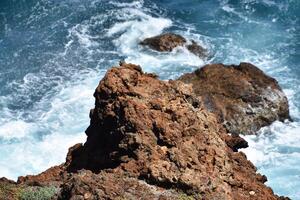 Lava Rock with Waves Splashing Along the Coast photo