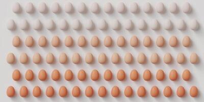 Gradient Pattern of Chicken Eggs photo