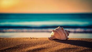 A seashell rests on soft golden sand, with the serene ocean waves gently breaking in the background on a summer day. photo