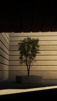 The potted tree at the end of the tunnel. Vertical animation video