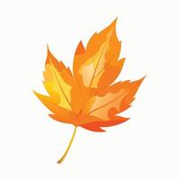 Vibrant autumn leaf with rich orange and red hues vector