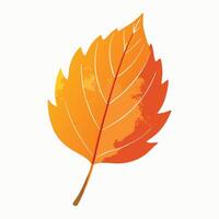 Bright orange-yellow autumn leaf with soft shading vector