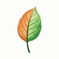 Leaf icon with two-tone green and brown gradient for fall vector
