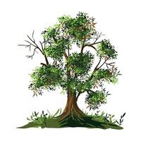 pipal tree or Sacred fig tree in large size with bright green big leaves illustration vector