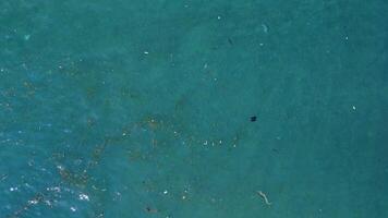 Plastic pollution floating on ocean surface. Aerial view of dirty sea in Bali video