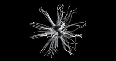 Hologram screen 3d of an organic cell with dendrites - loop video