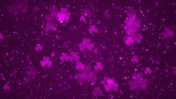 Lucky pink shamrocks, shiny stars and glowing glittering particles on a dark gradient background. This Saint Patrick's Day celebration party background animation is full HD and a loop. video