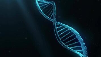 Rotation of a DNA molecule in three-dimensional space video