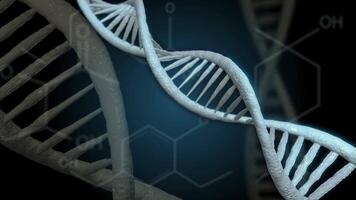 DNA double helix using formulas video
