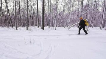 The winter landscape is serene, with snowcovered ground and bare trees creating a tranquil atmosphere perfect for relaxation amid natures stunning beauty and stillness video