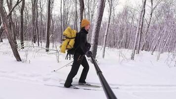 A person is skiing through a beautiful snowy forest, fully equipped with a bright yellow backpack and a ski pole, amidst winter trees and an incredibly serene landscape surrounding them video