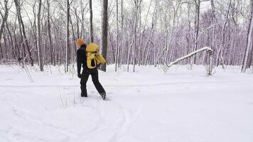 A skier dressed in a vibrant yellow jacket effortlessly glides through a serene, picturesque winter forest, surrounded by soft, glistening snow and the gentle sway of peaceful tree branches video