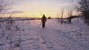 A solitary individual is walking peacefully along a tranquil snowy pathway during the stunning sunset, enveloped by serene trees, capturing the true beauty and essence of winter solitude video