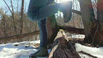 person standing on a log in the snow video